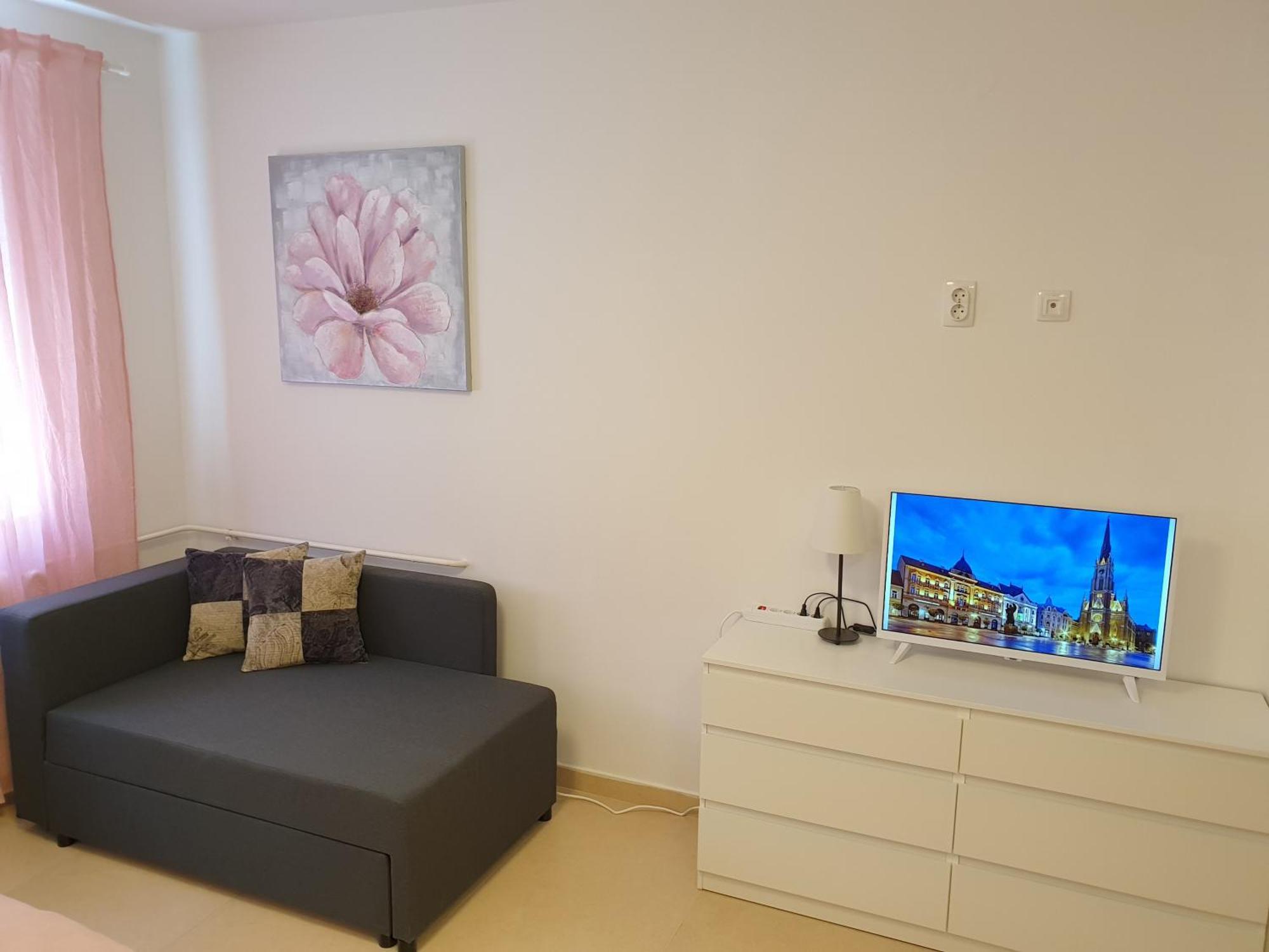 Podbara Center Apartment Novi Sad Exterior photo